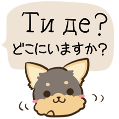 [LINEスタンプ] ちらっとニコちゃんとわんこ ウクライナ語